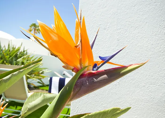 וילה El Golfo - By Az *