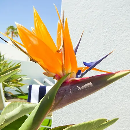 빌라 El Golfo - By Az *